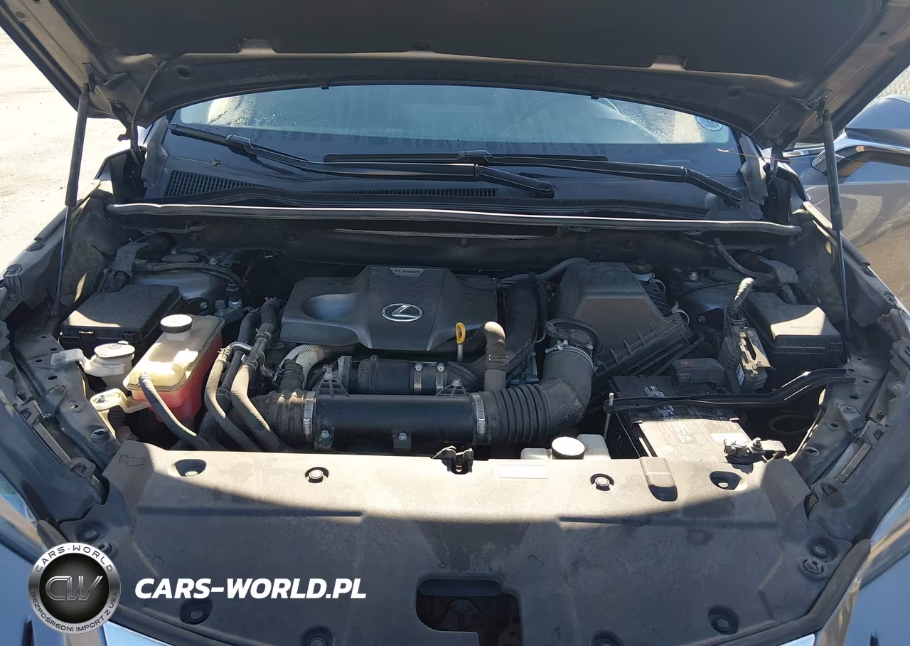 2018 Lexus Nx 300 VIN:JTJYARBZXJ2099414 - 10