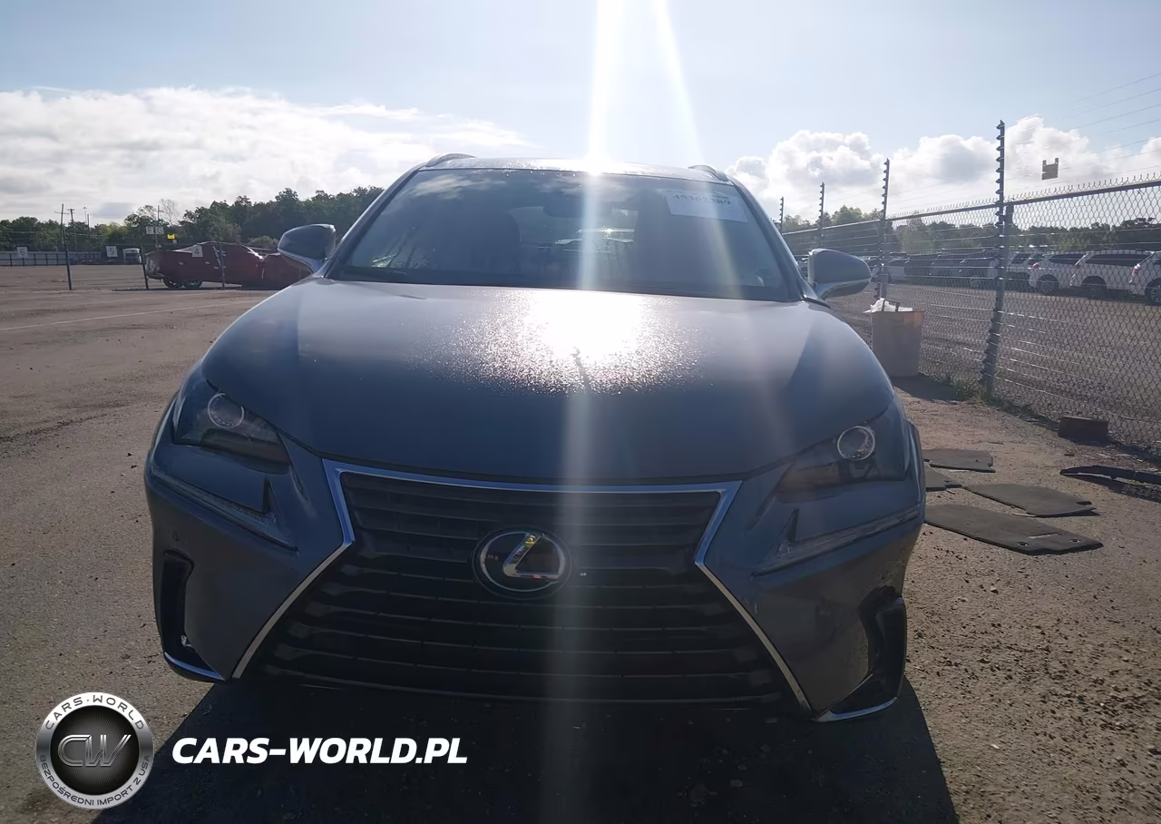 2018 Lexus Nx 300 VIN:JTJYARBZXJ2099414 - 12