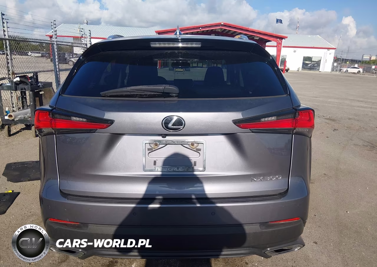 2018 Lexus Nx 300 VIN:JTJYARBZXJ2099414 - 16
