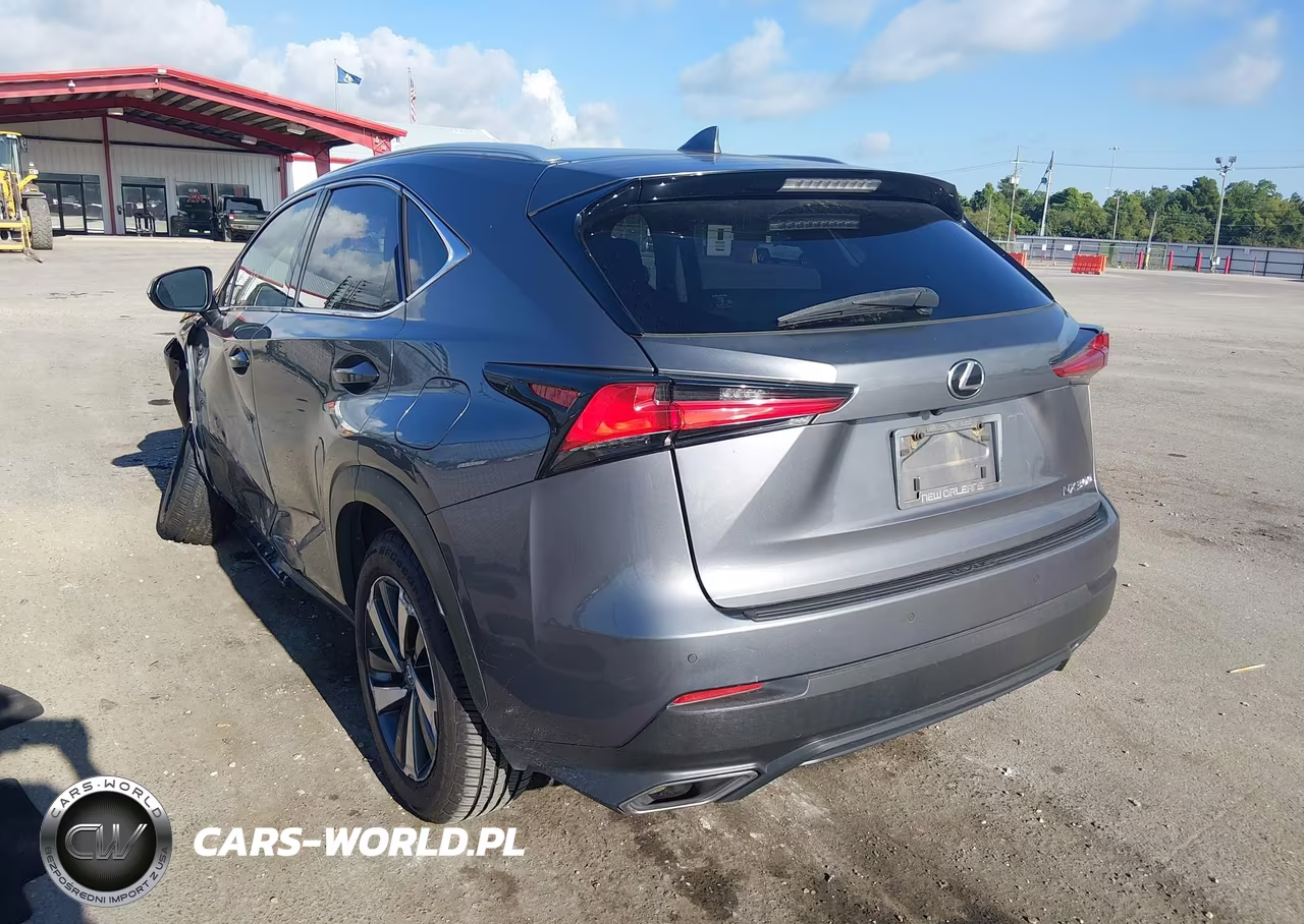 2018 Lexus Nx 300 VIN:JTJYARBZXJ2099414 - 3