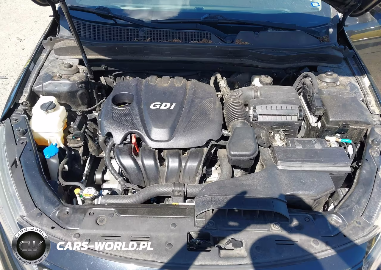 2015 Kia Optima Lx VIN:5XXGM4A77FG504574 - 10