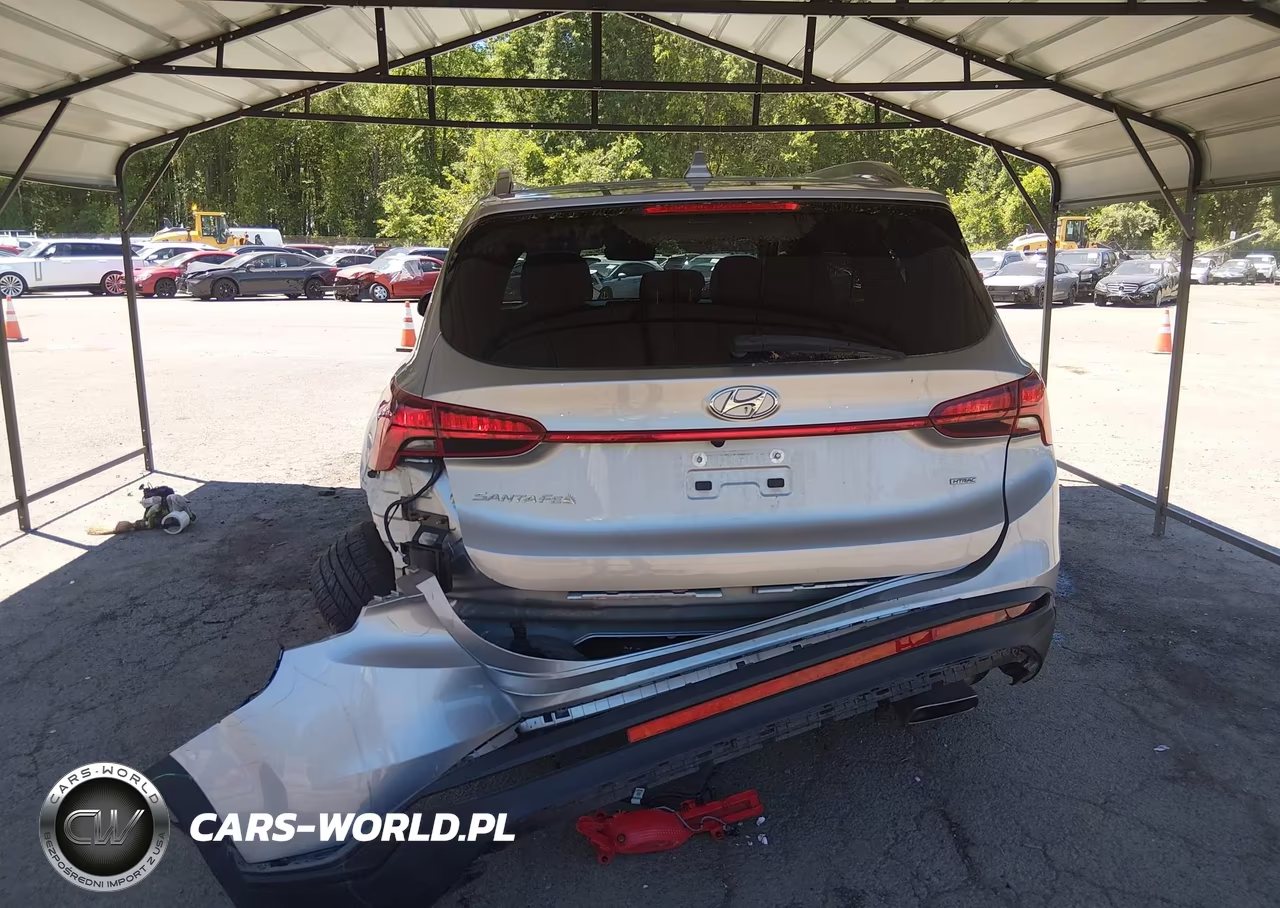 2023 Hyundai Santa Fe Sel VIN:5NMS2DAJ5PH572094 - 17