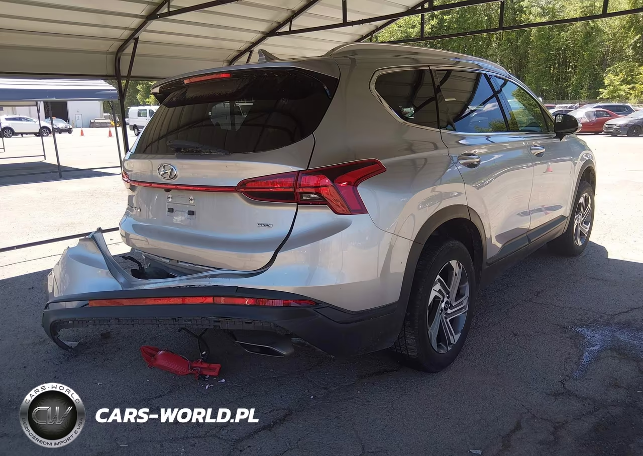 2023 Hyundai Santa Fe Sel VIN:5NMS2DAJ5PH572094 - 4