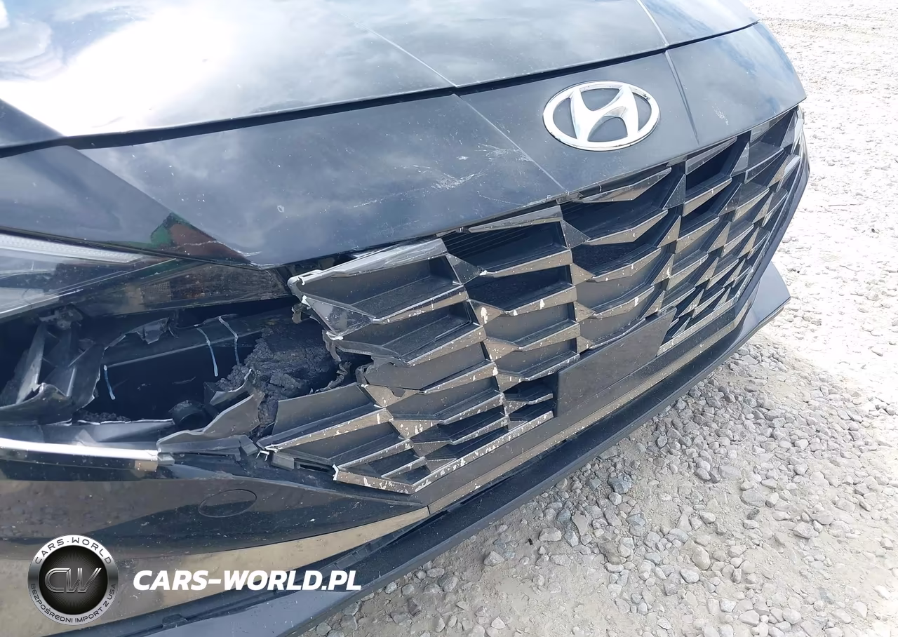 2022 Hyundai Elantra Limited VIN:KMHLP4AGXNU352039 - 21