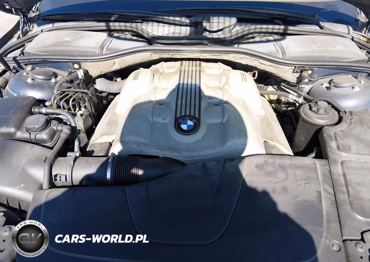 2004 BMW 745Li VIN:WBAGN63494DS46235 - 10