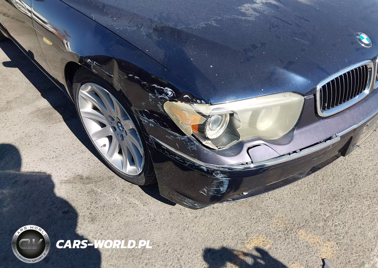 2004 BMW 745Li VIN:WBAGN63494DS46235 - 6