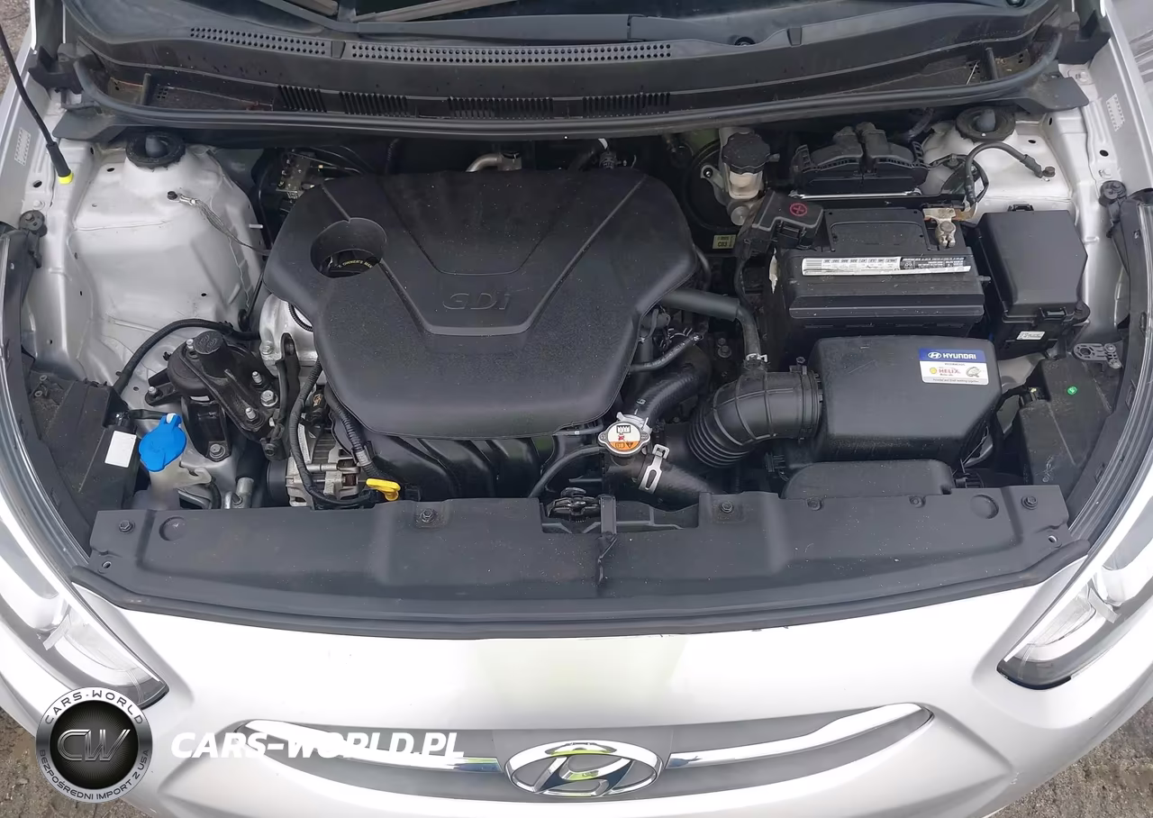 2017 Hyundai Accent Se VIN:KMHCT5AE8HU338354 - 10