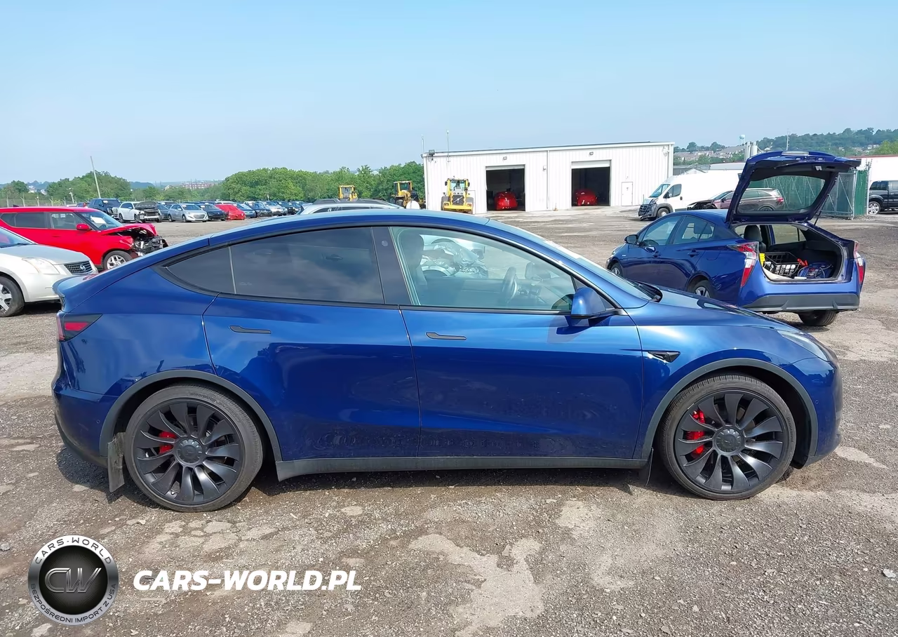 2022 Tesla Model Y Performance Dual Motor All-Wheel Drive VIN:7SAYGDEF3NF464219 - 12