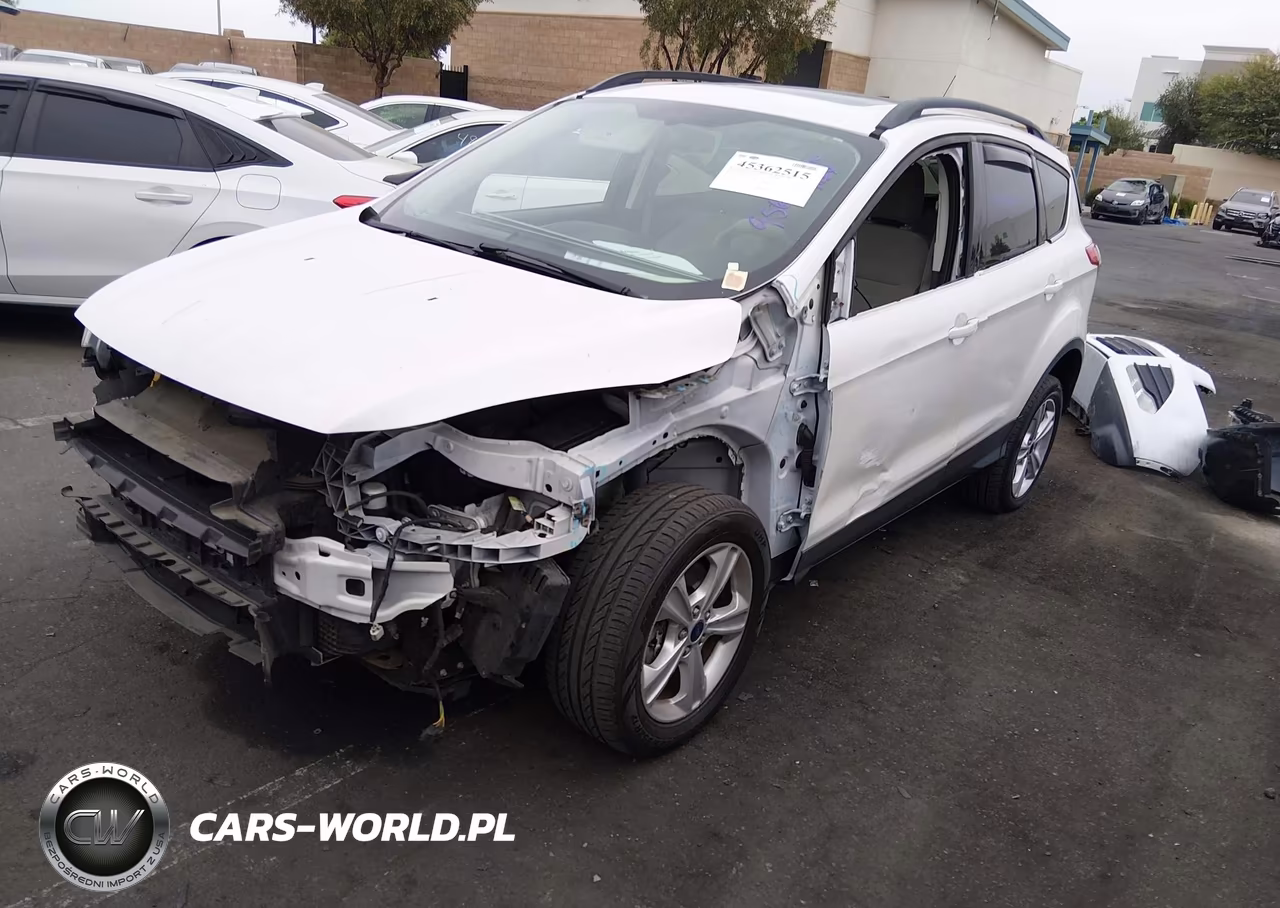 2014 Ford Escape Se VIN:1FMCU0G97EUB32013 - 2