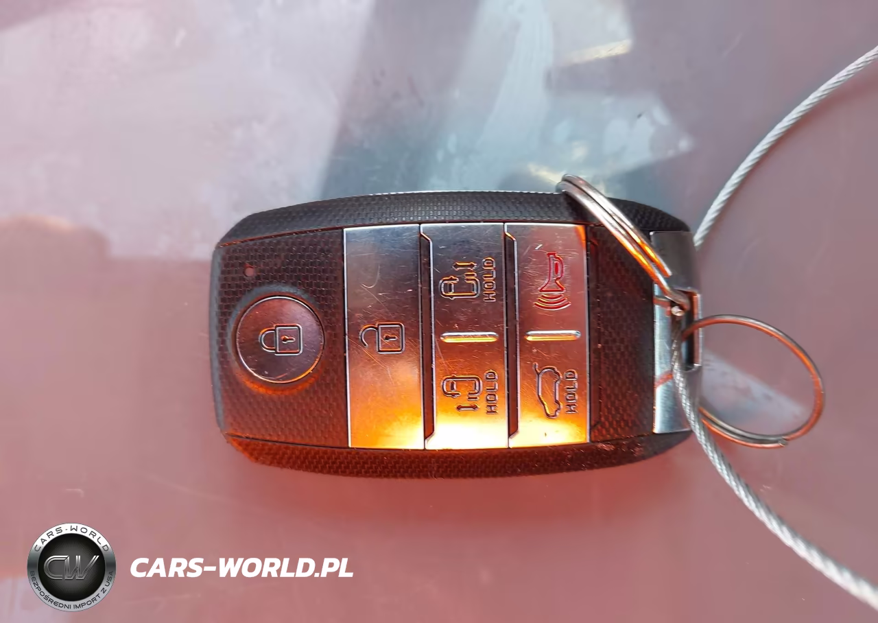 2017 Kia Sedona Lx VIN:KNDMB5C18H6246686 - 11