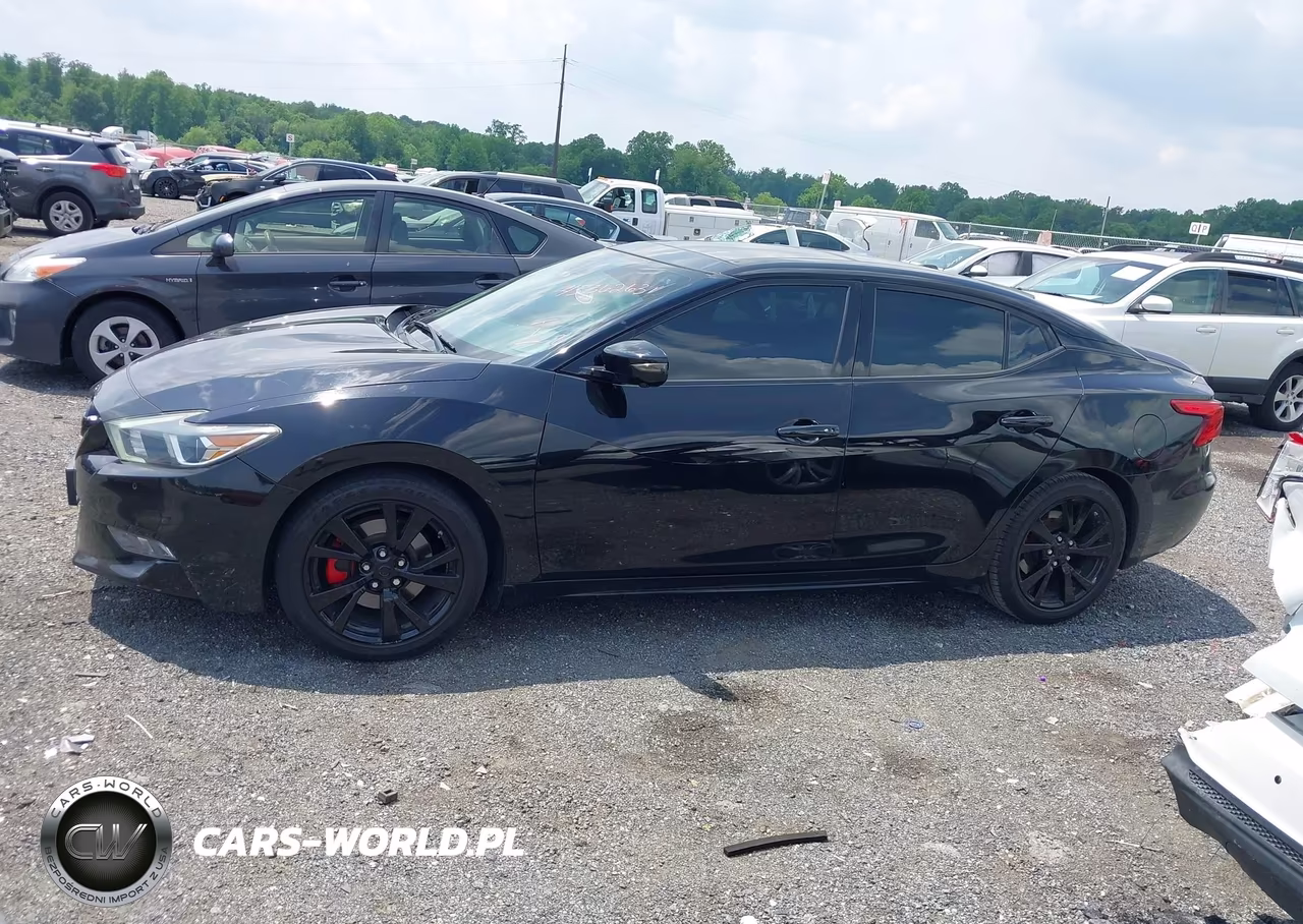 2016 Nissan Maxima 3.5 Platinum VIN:1N4AA6APXGC418791 - 14
