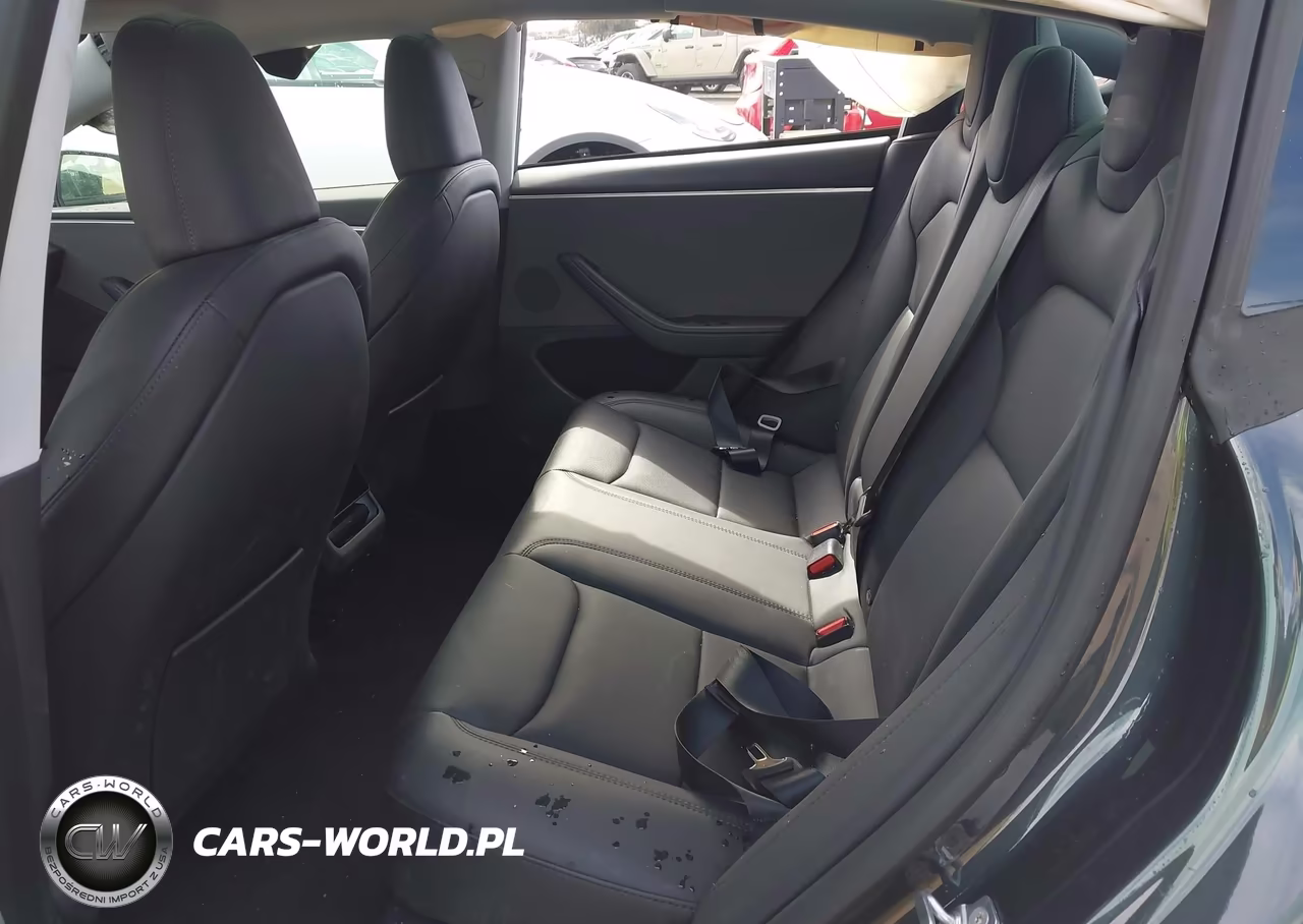 2025 Tesla Model 3 Long Range Rear-Wheel Drive-Standard Rear-Wheel Drive VIN:5YJ3E1EA9SF977986 - 8