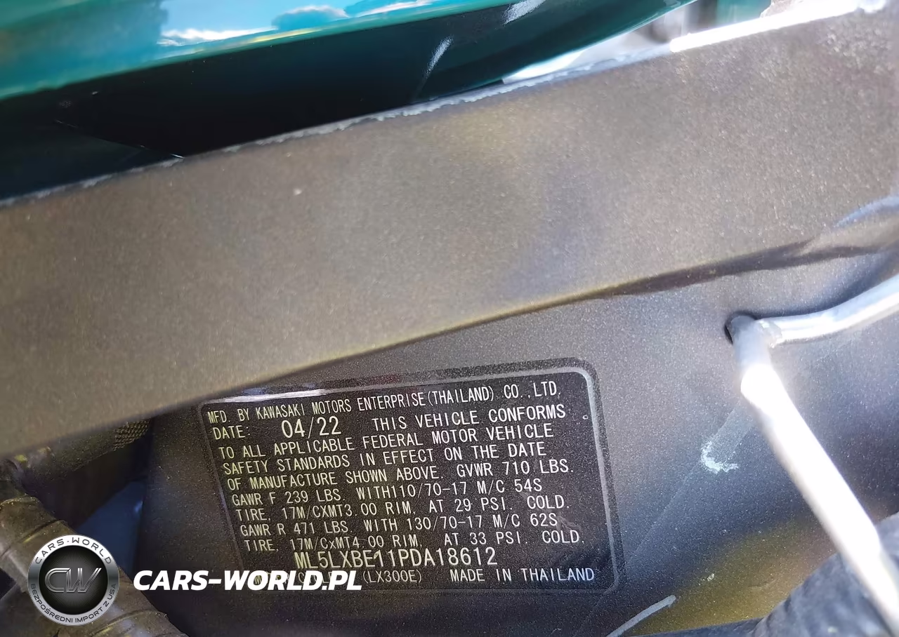 2023 Kawasaki Klx300 E VIN:ML5LXBE11PDA18612 - 10