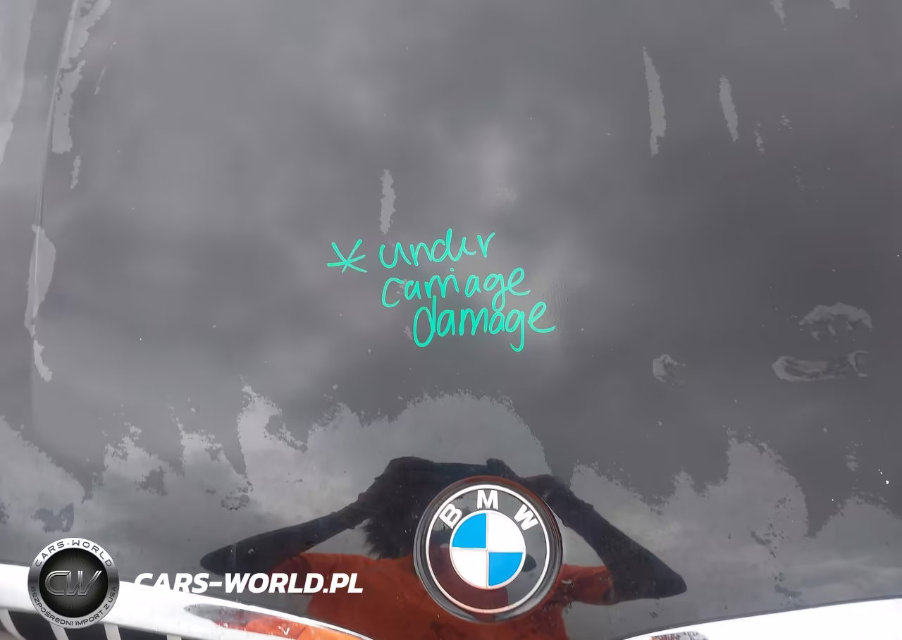 2020 BMW X3 Sdrive30I VIN:5UXTY3C03LLU71726 - 17