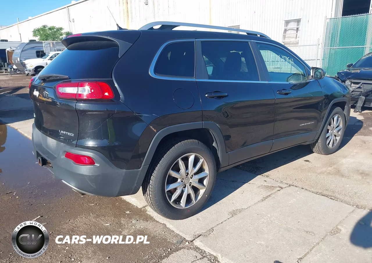 2014 Jeep Cherokee Limited VIN:1C4PJMDS6EW133994 - 4