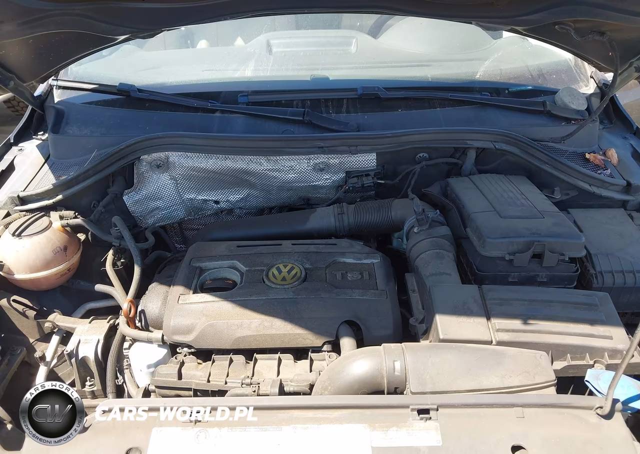 2013 Volkswagen Tiguan Se VIN:WVGAV7AX1DW515095 - 10