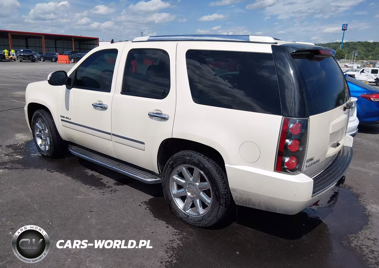 2010 GMC Yukon Denali VIN:1GKUKEEF8AR134018 - 3