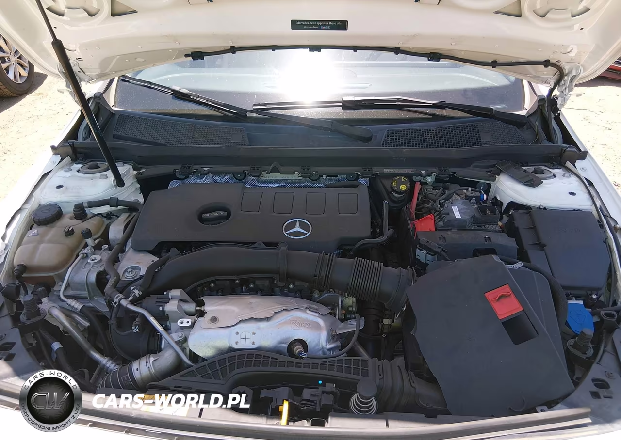 2019 Mercedes-Benz A 220 VIN:WDD3G4EB9KW016715 - 10