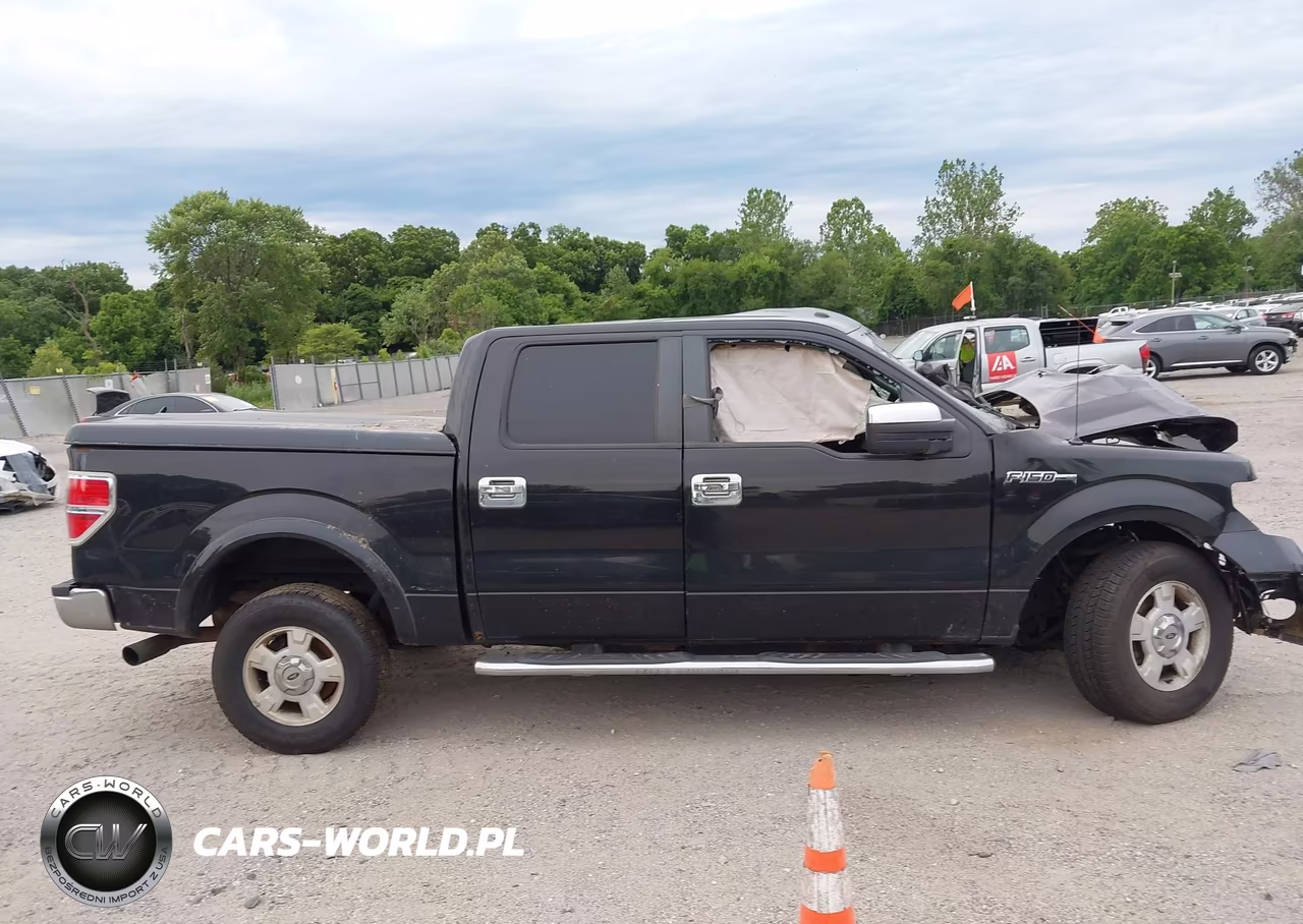 2014 Ford F-150 Xlt VIN:1FTFW1EF9EFB78523 - 13