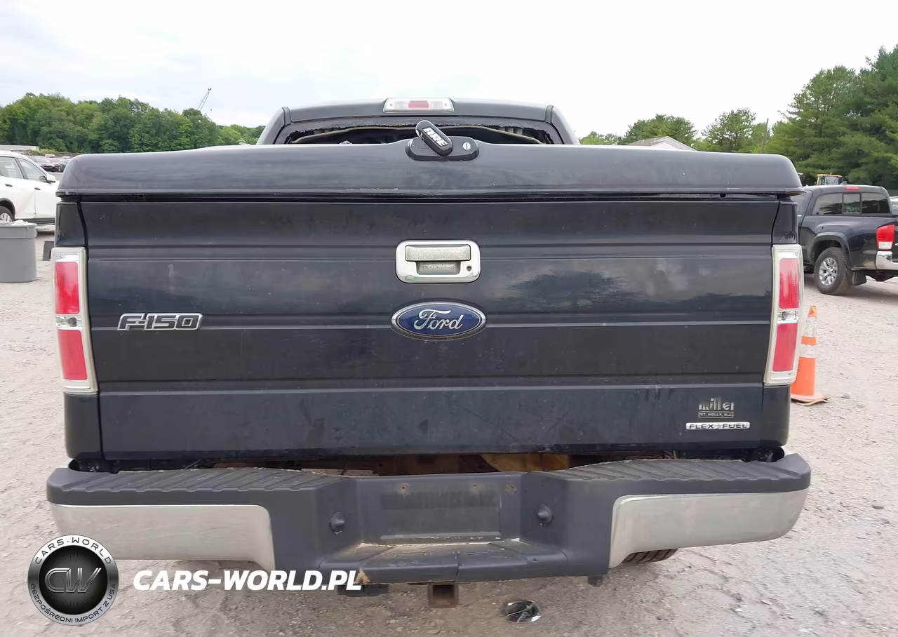 2014 Ford F-150 Xlt VIN:1FTFW1EF9EFB78523 - 16