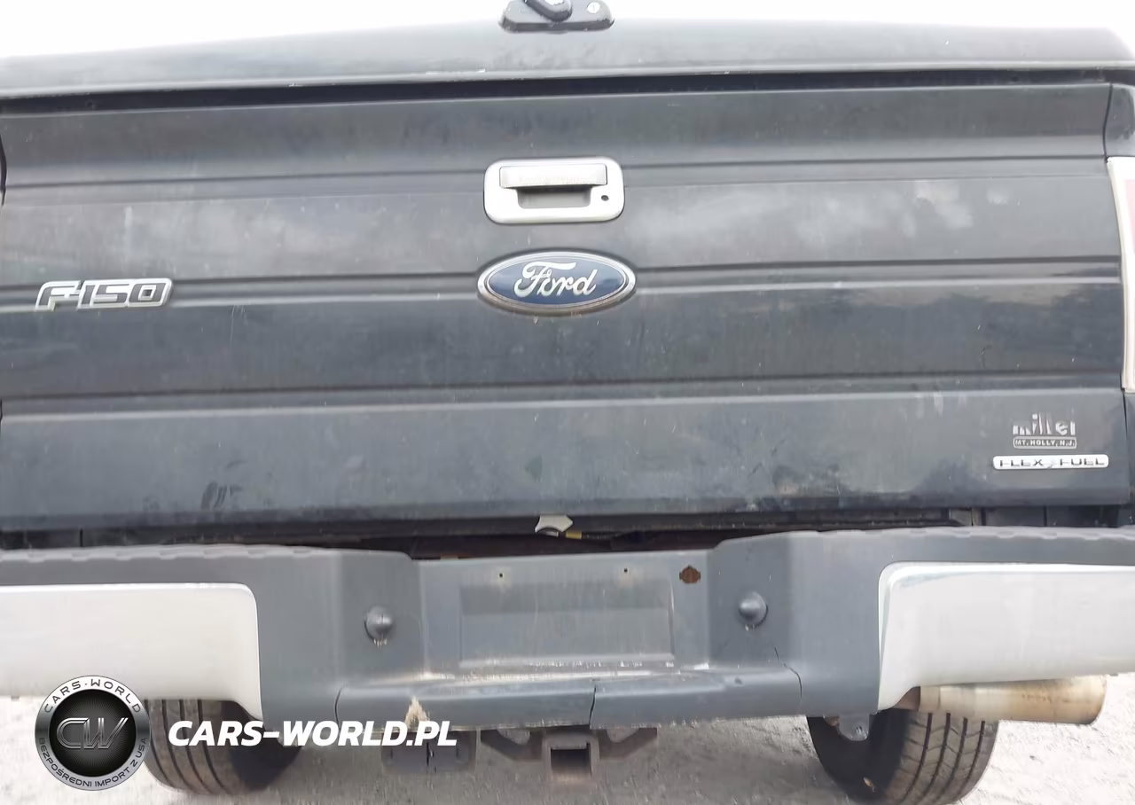 2014 Ford F-150 Xlt VIN:1FTFW1EF9EFB78523 - 20