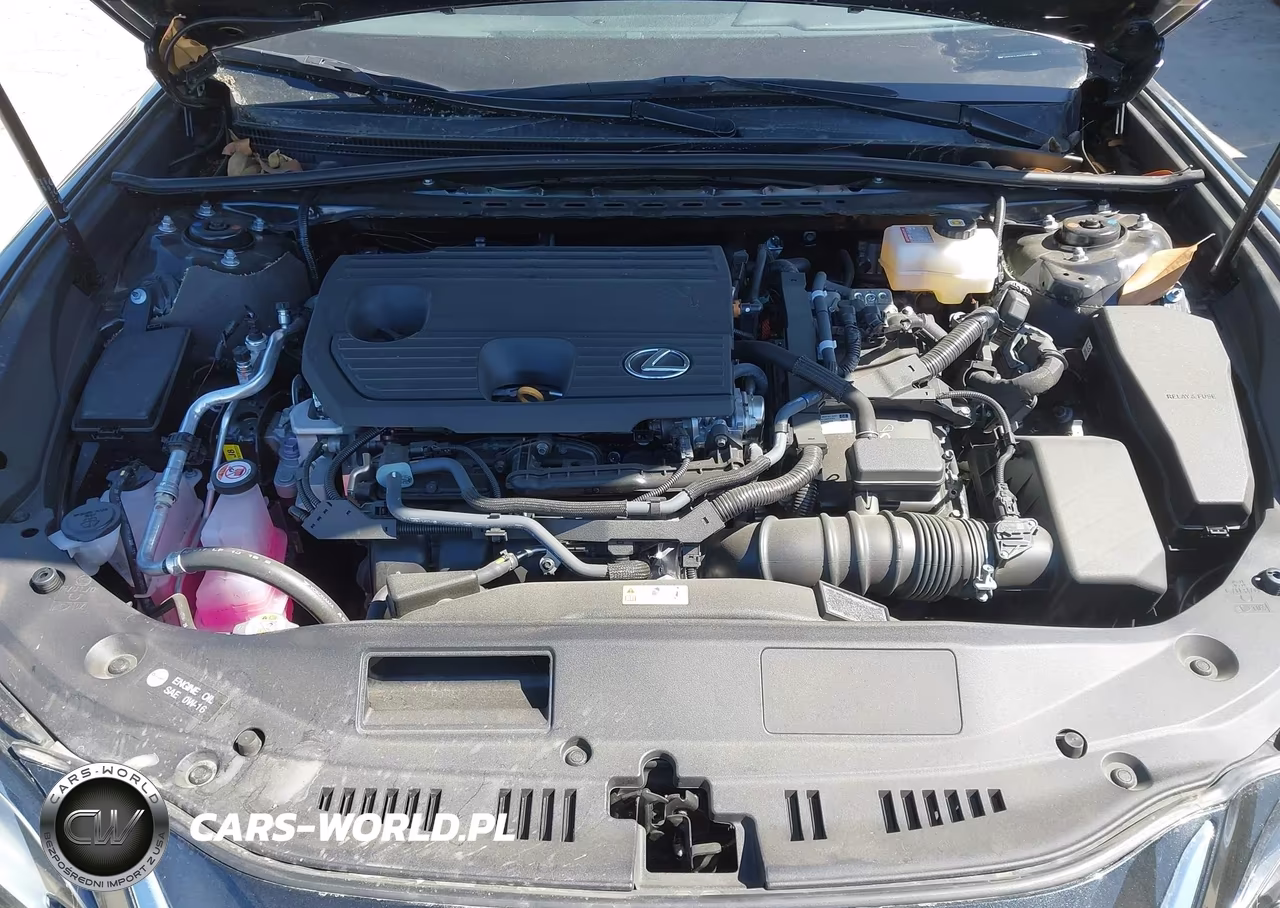 2025 Lexus Es 300H VIN:58ADA1C16SU069526 - 10
