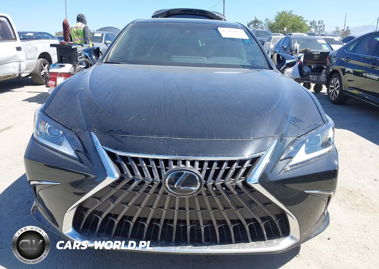 2025 Lexus Es 300H VIN:58ADA1C16SU069526 - 13