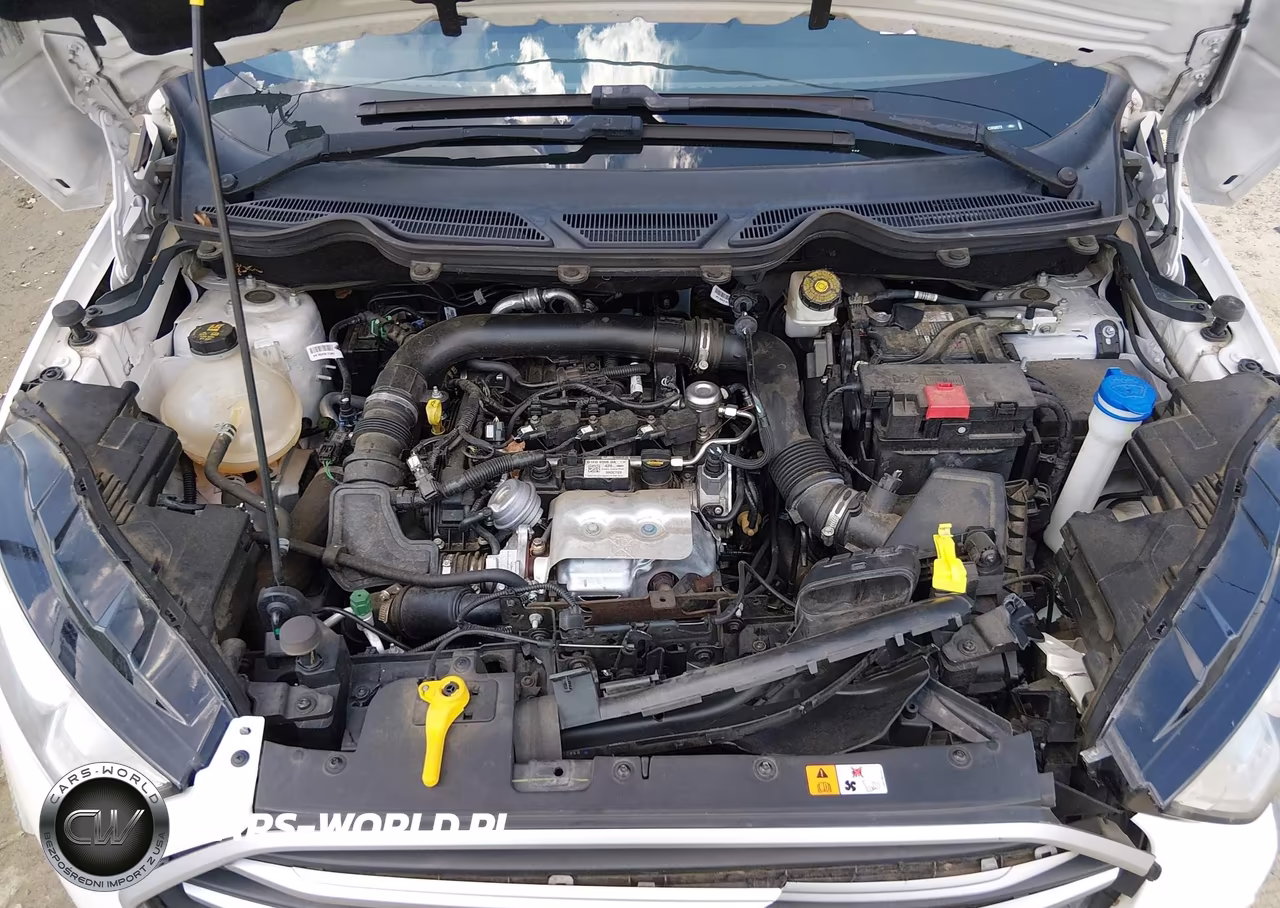 2020 Ford Ecosport Se VIN:MAJ3S2GE1LC359872 - 10