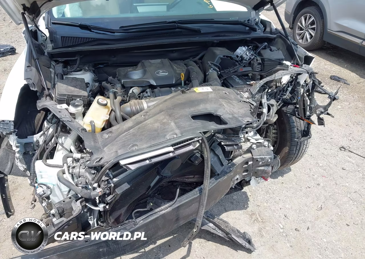 2019 Lexus Nx 300 VIN:JTJYARBZ5K2127069 - 10
