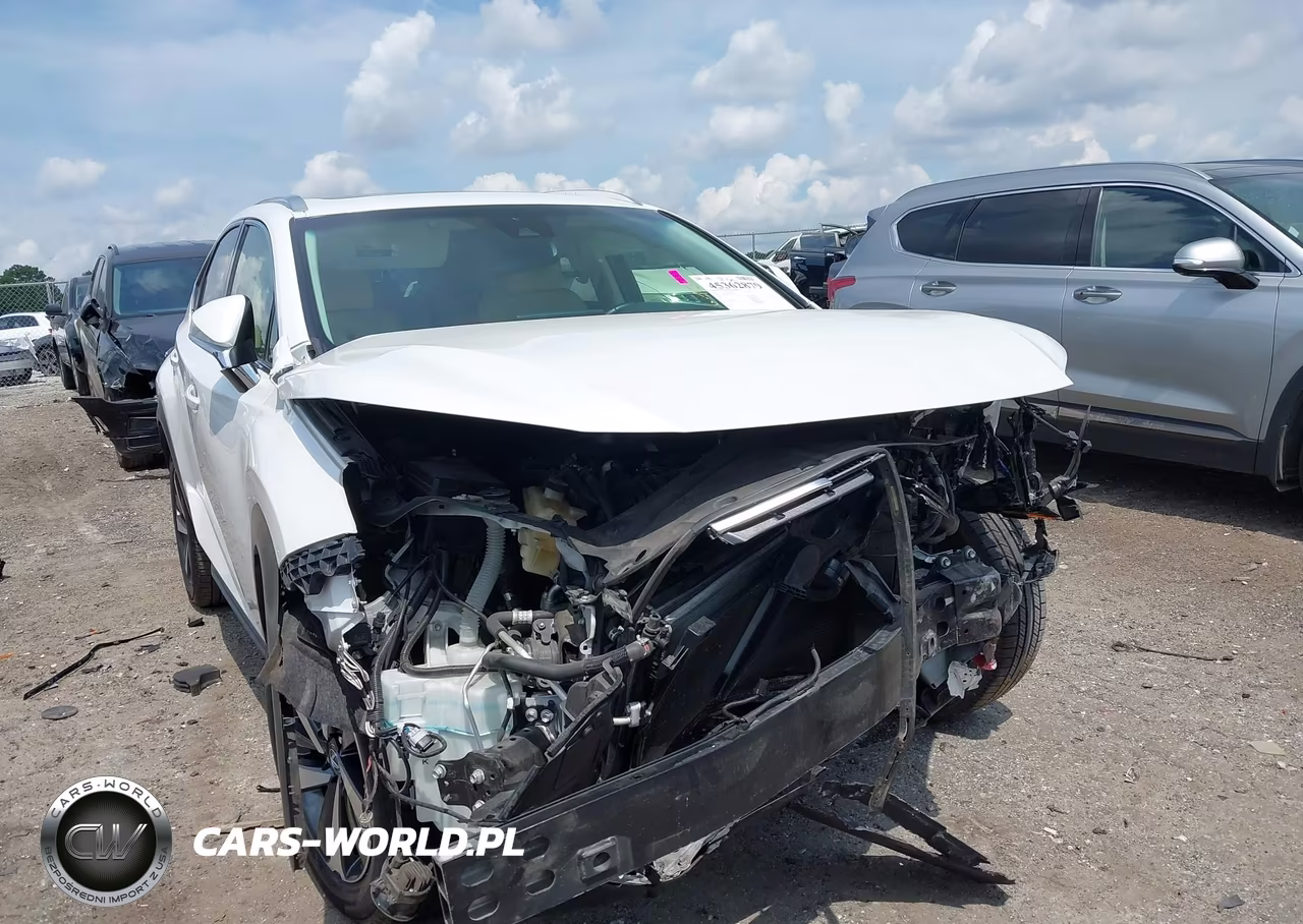 2019 Lexus Nx 300 VIN:JTJYARBZ5K2127069 - 13