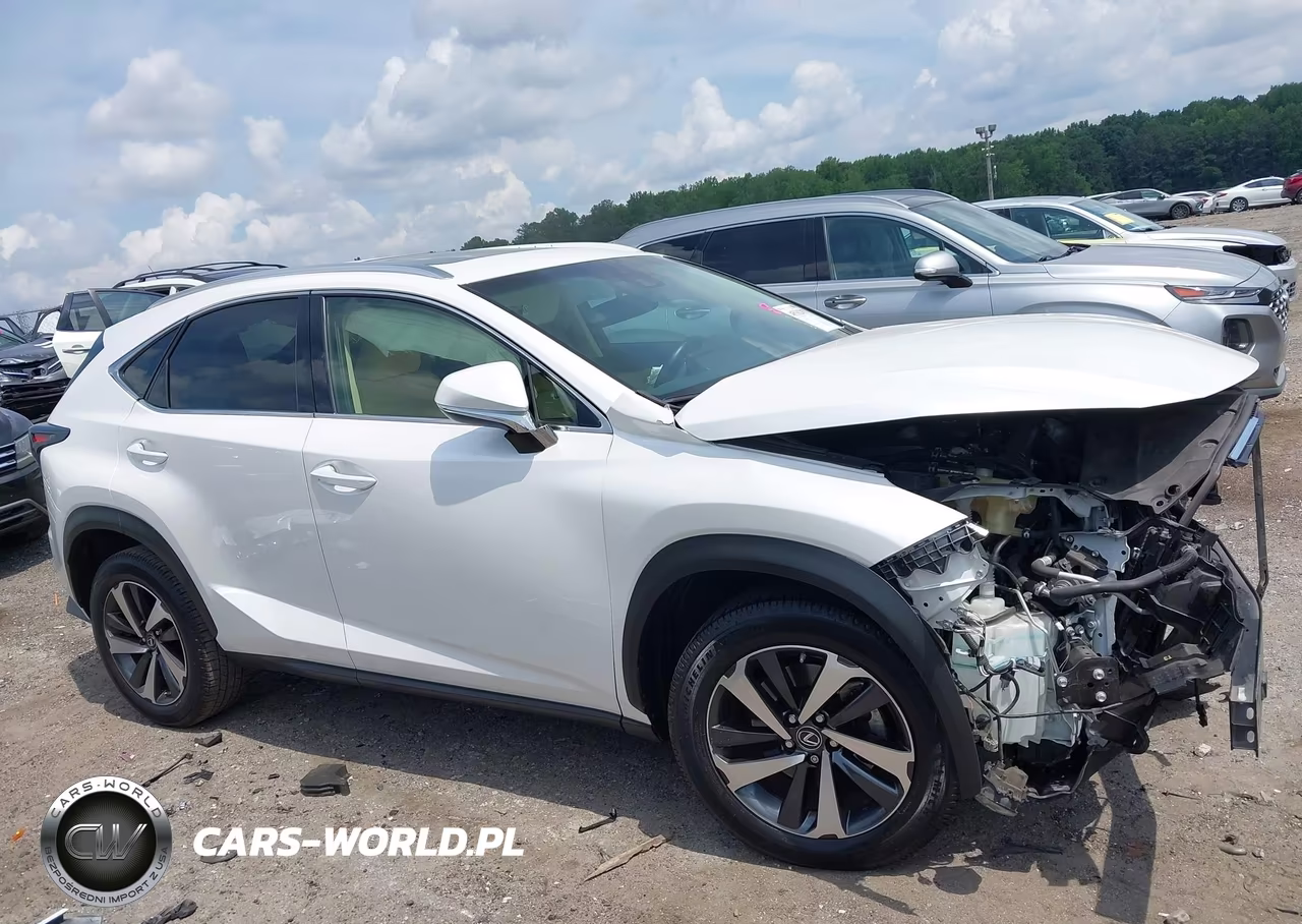 2019 Lexus Nx 300 VIN:JTJYARBZ5K2127069 - 14