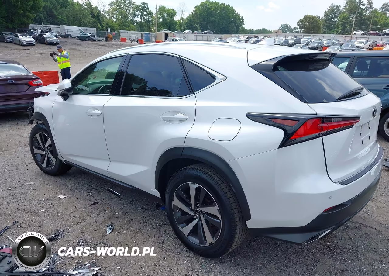 2019 Lexus Nx 300 VIN:JTJYARBZ5K2127069 - 15