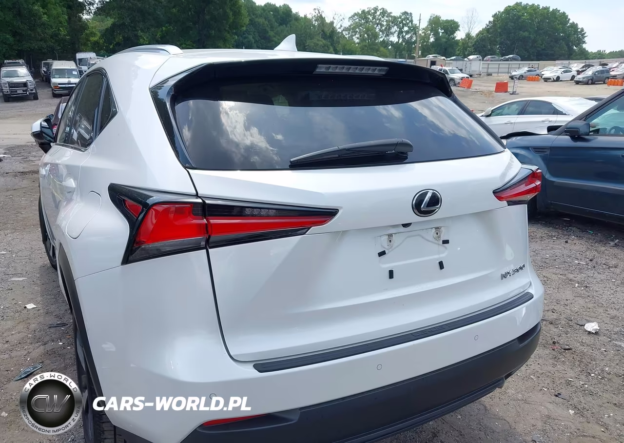 2019 Lexus Nx 300 VIN:JTJYARBZ5K2127069 - 17