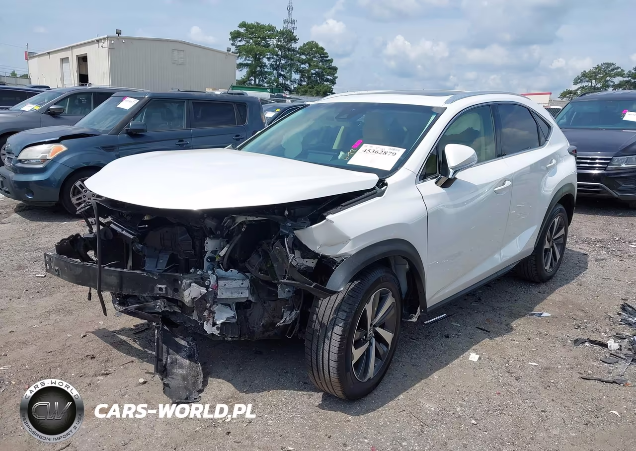 2019 Lexus Nx 300 VIN:JTJYARBZ5K2127069 - 2