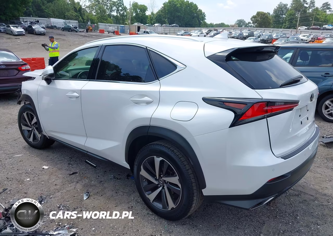 2019 Lexus Nx 300 VIN:JTJYARBZ5K2127069 - 3