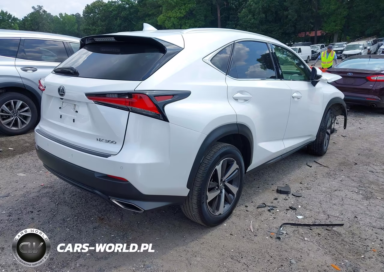 2019 Lexus Nx 300 VIN:JTJYARBZ5K2127069 - 4