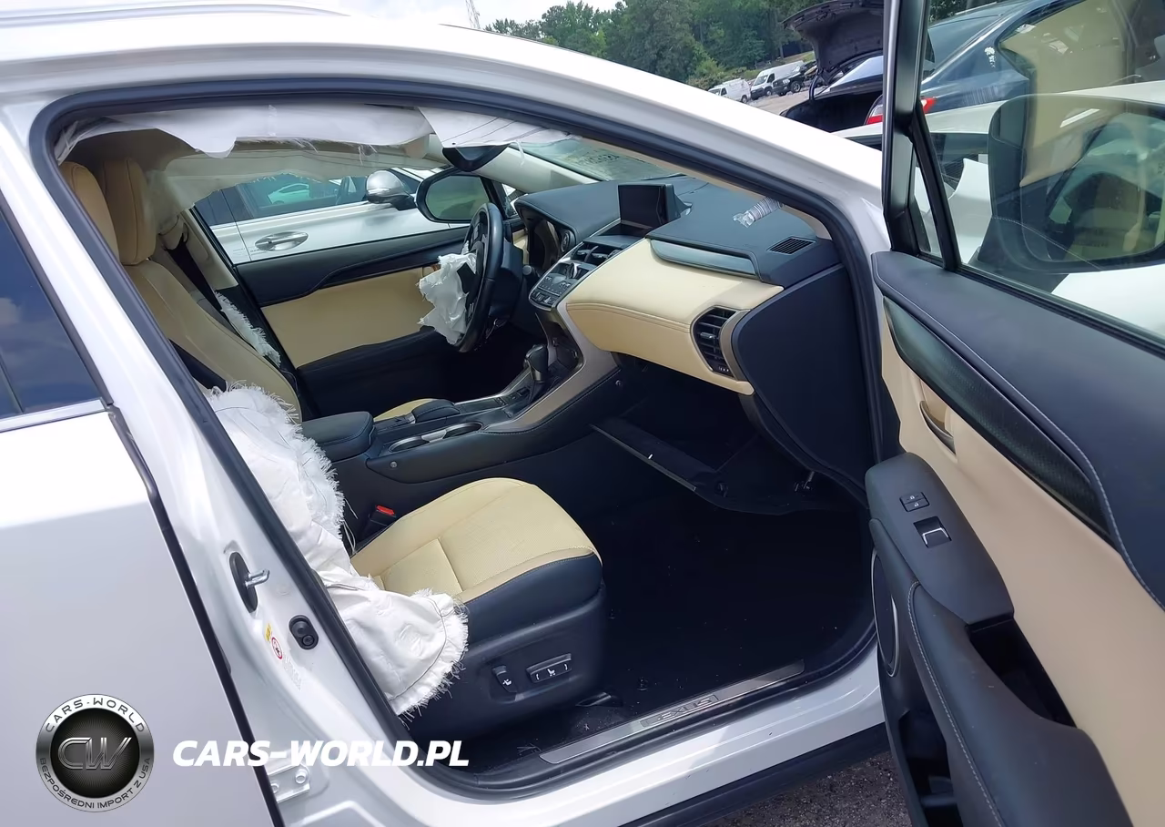 2019 Lexus Nx 300 VIN:JTJYARBZ5K2127069 - 5