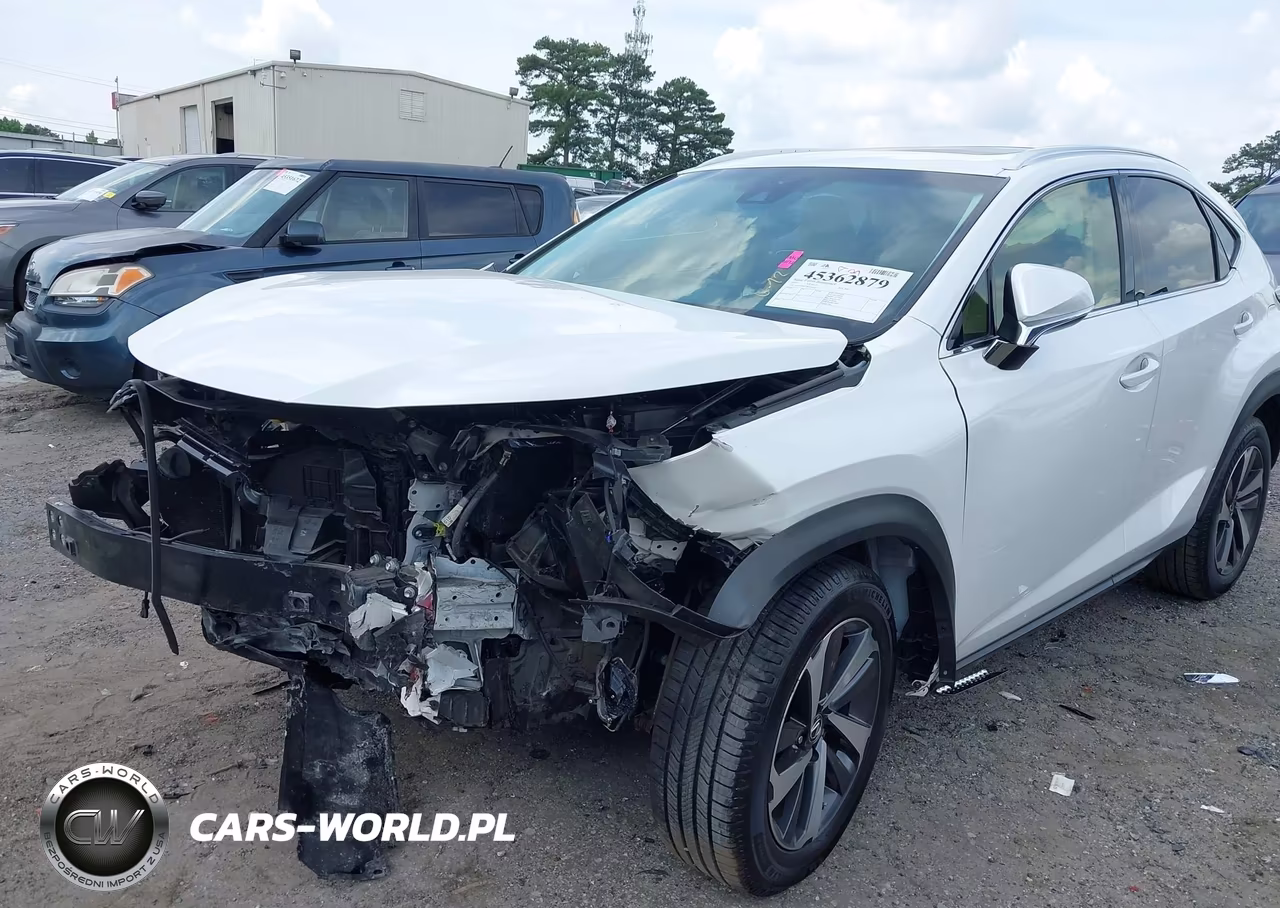 2019 Lexus Nx 300 VIN:JTJYARBZ5K2127069 - 6