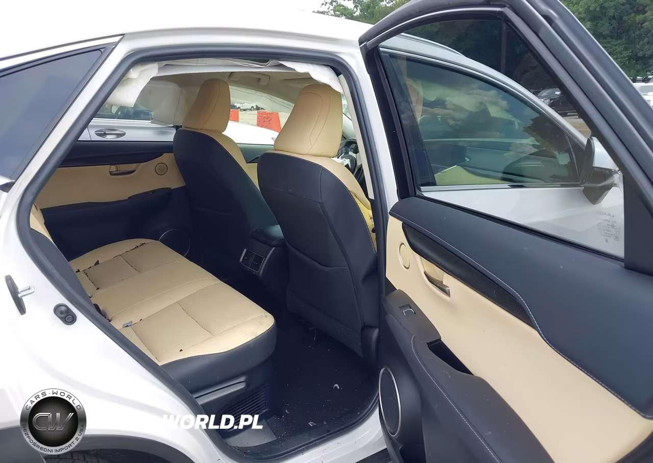 2019 Lexus Nx 300 VIN:JTJYARBZ5K2127069 - 8