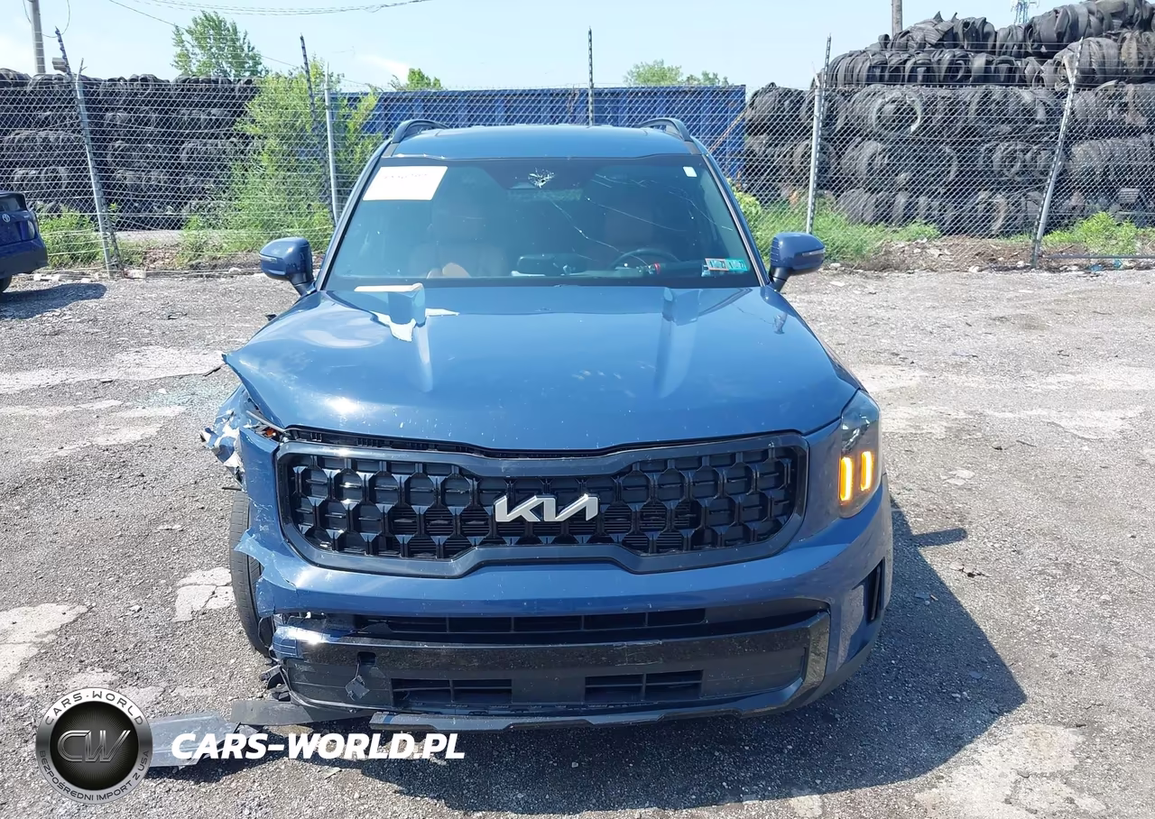 2024 Kia Telluride Ex X-Line VIN:5XYP3DGC4RG474151 - 12