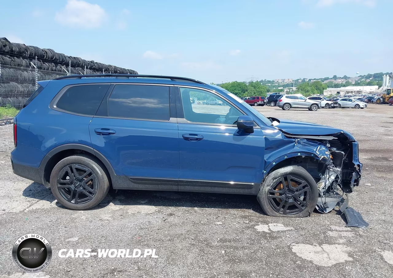 2024 Kia Telluride Ex X-Line VIN:5XYP3DGC4RG474151 - 13