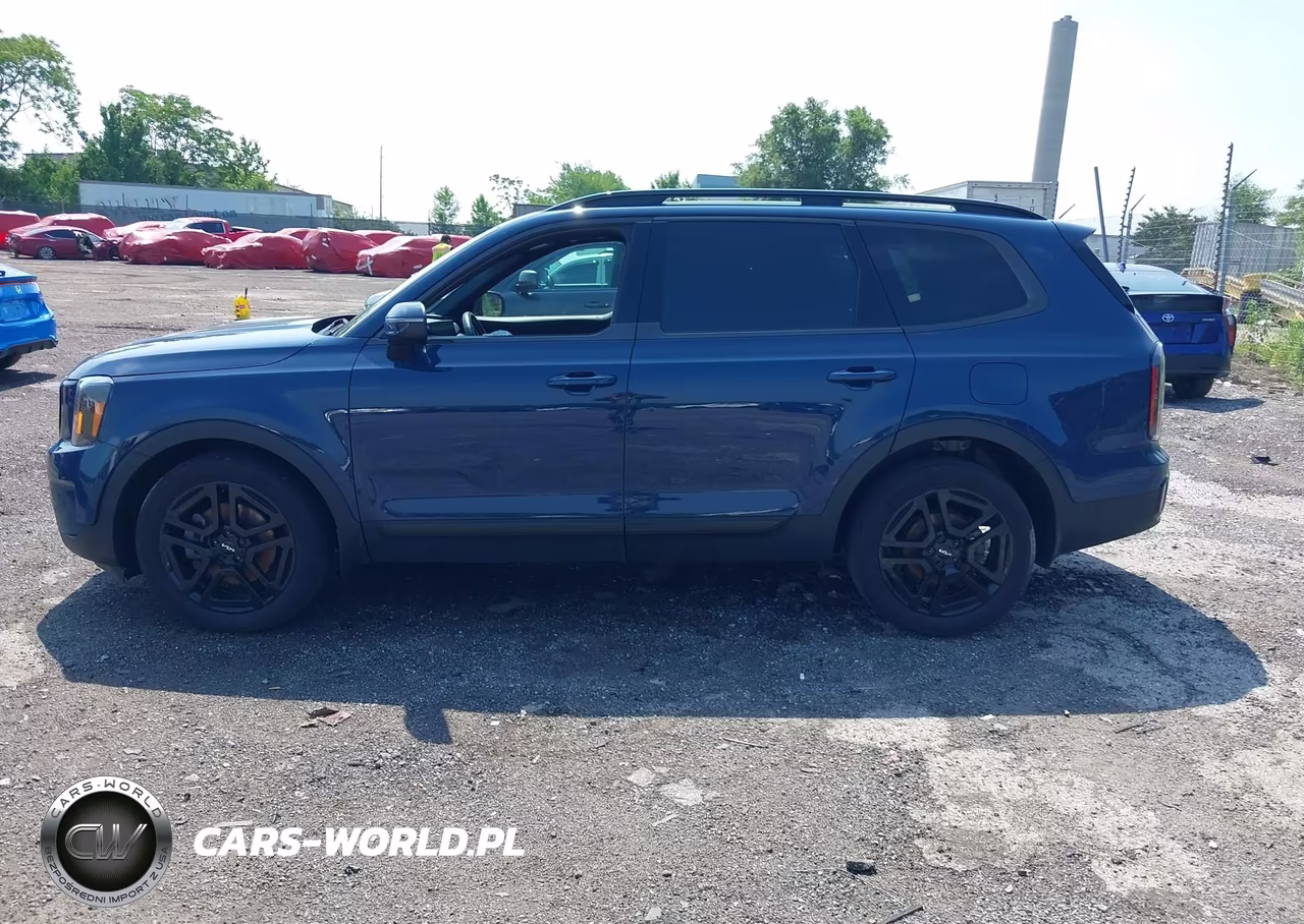 2024 Kia Telluride Ex X-Line VIN:5XYP3DGC4RG474151 - 14