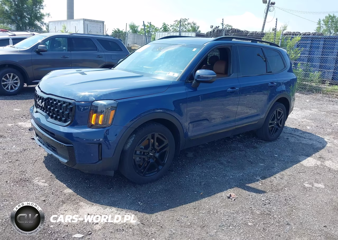 2024 Kia Telluride Ex X-Line VIN:5XYP3DGC4RG474151 - 2