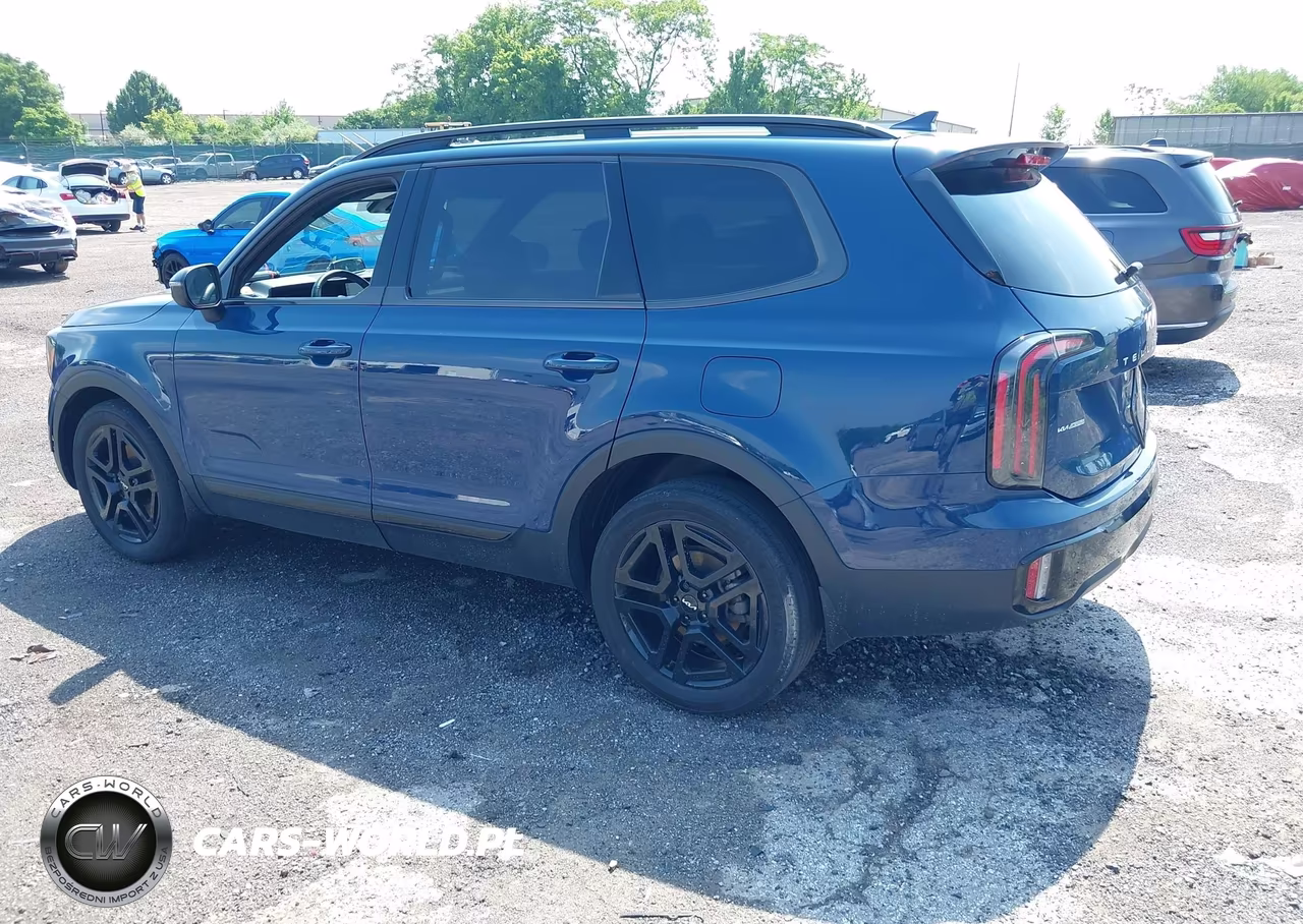 2024 Kia Telluride Ex X-Line VIN:5XYP3DGC4RG474151 - 3