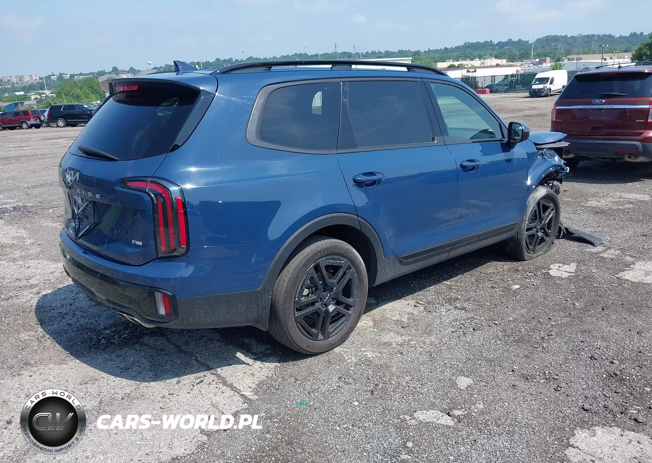 2024 Kia Telluride Ex X-Line VIN:5XYP3DGC4RG474151 - 4