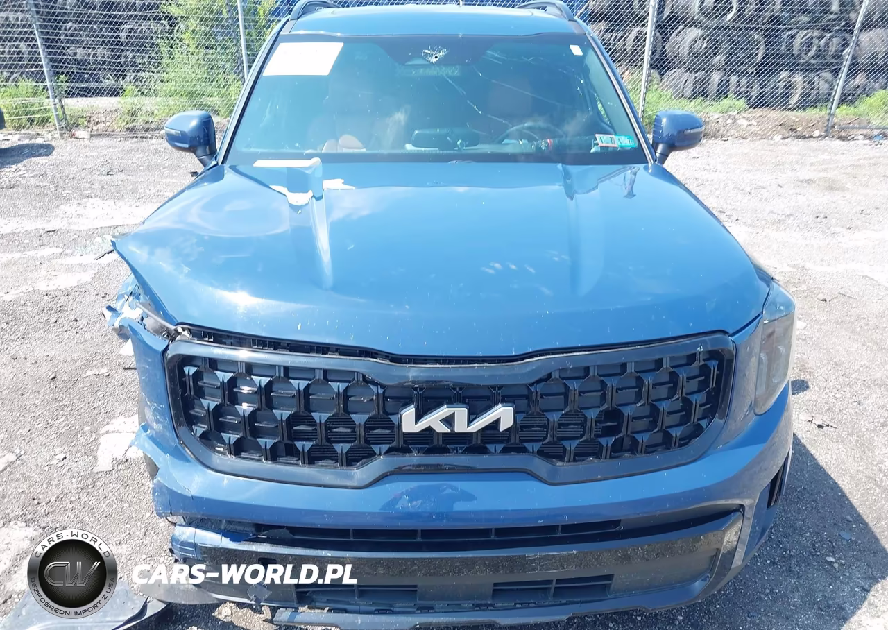2024 Kia Telluride Ex X-Line VIN:5XYP3DGC4RG474151 - 6