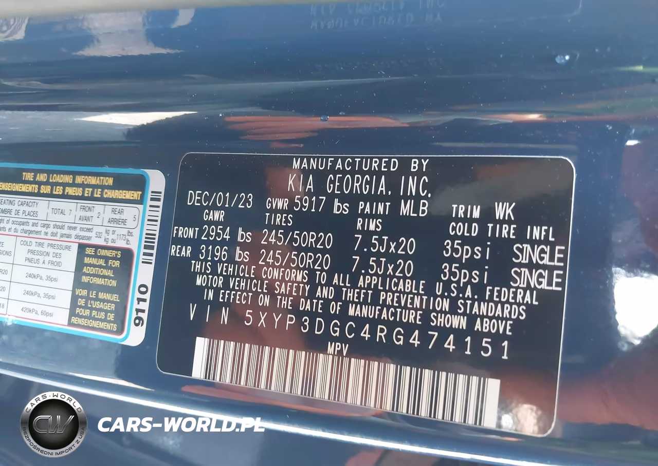2024 Kia Telluride Ex X-Line VIN:5XYP3DGC4RG474151 - 9