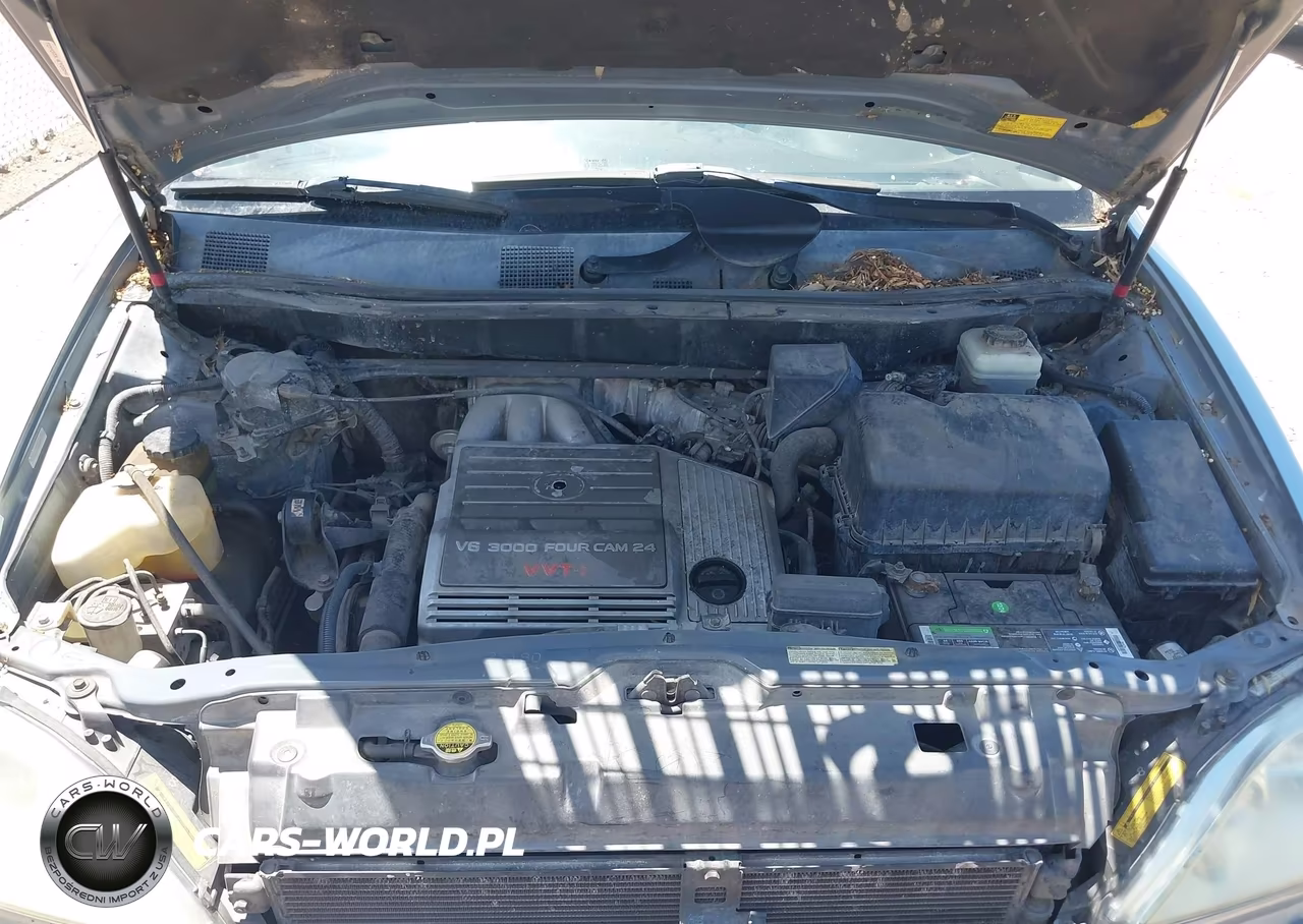 2001 Lexus Rx 300 VIN:JTJHF10U910225655 - 10