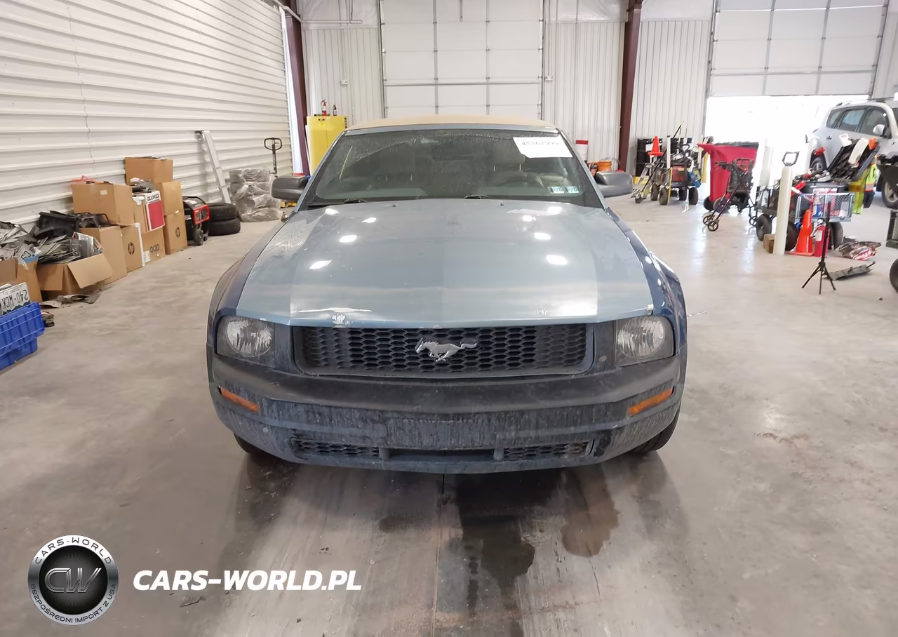 2007 Ford Mustang V6 Deluxe-V6 Premium VIN:1ZVFT84N875295994 - 12