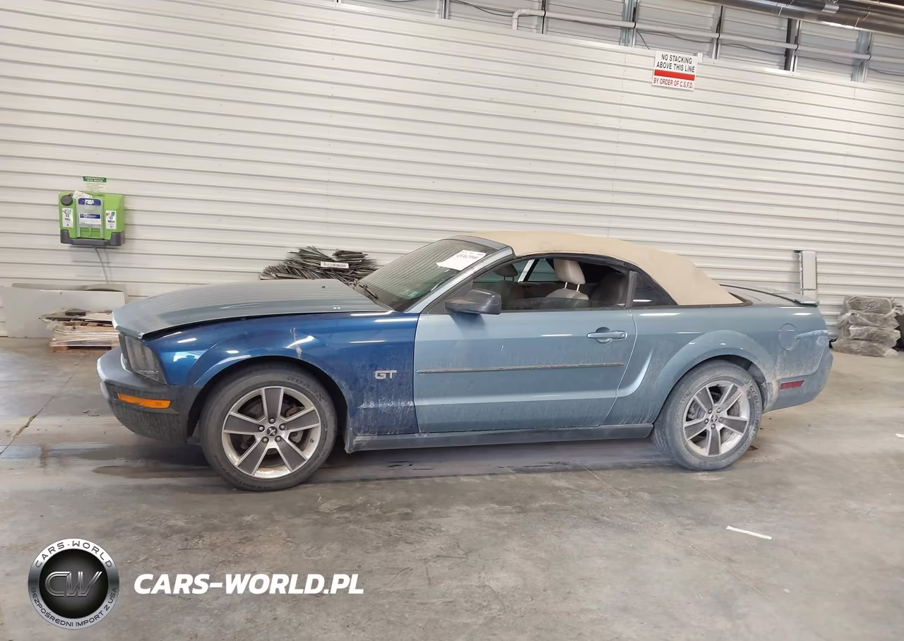 2007 Ford Mustang V6 Deluxe-V6 Premium VIN:1ZVFT84N875295994 - 14